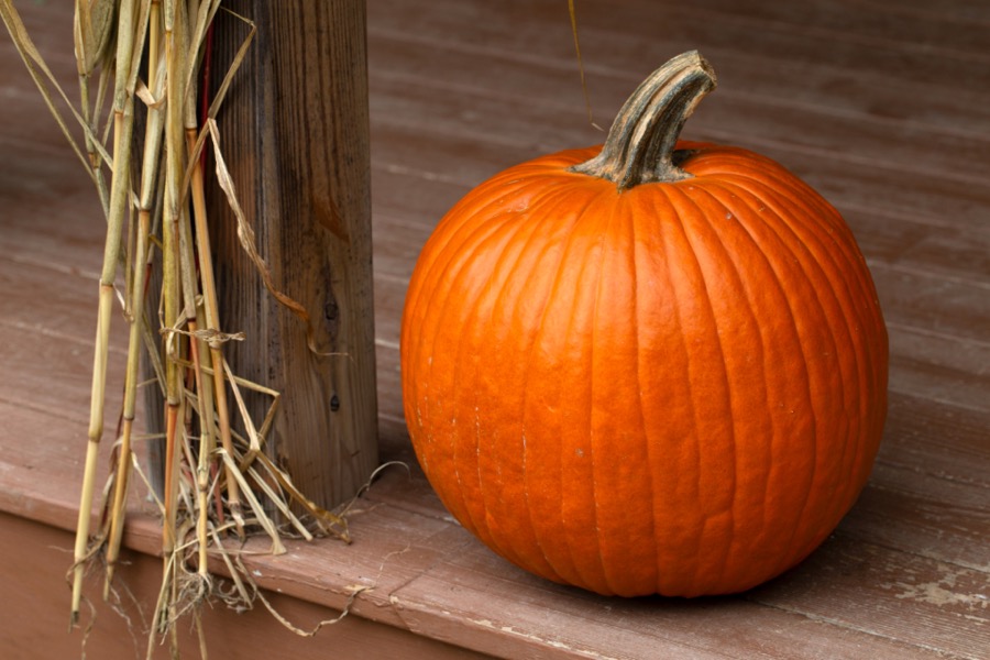 Autumn pumpkin on a porch